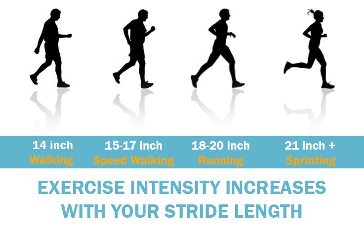 Elliptical Cross Trainers: Stride Length