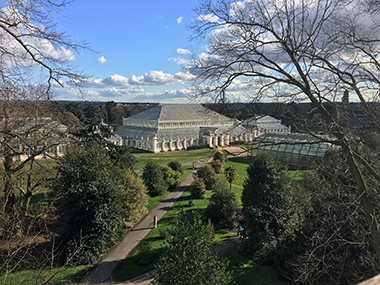 UK running events - Kew The Run