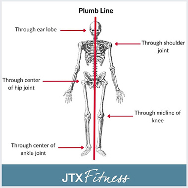 Plumb Line